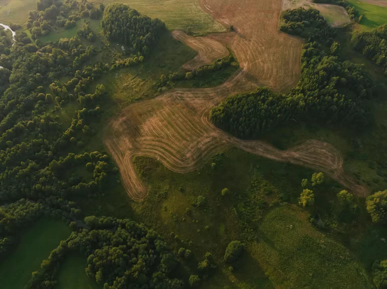 Land Investment